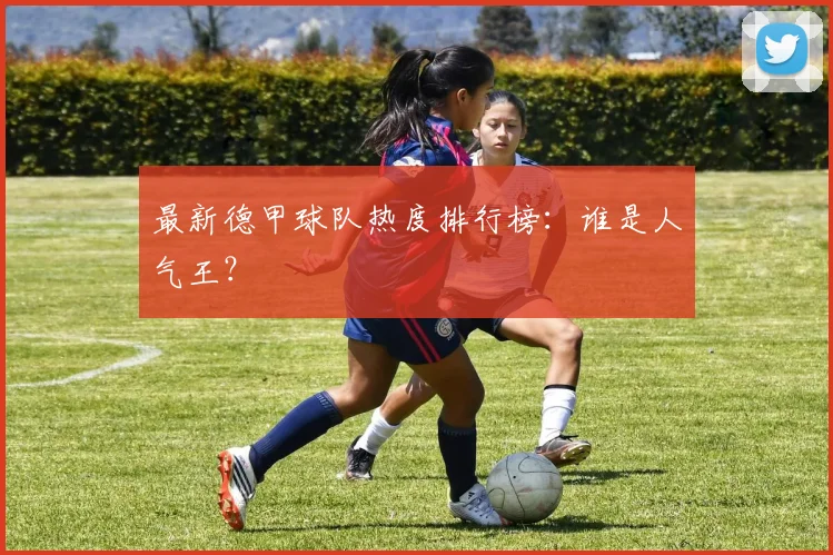 最新德甲球队热度排行榜：谁是人气王？