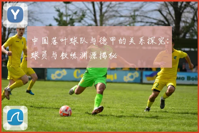 中国落叶球队与德甲的关系探究：球员与教练渊源揭秘