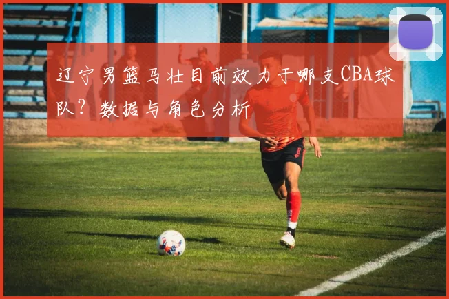 辽宁男篮马壮目前效力于哪支CBA球队?数据与角色分析