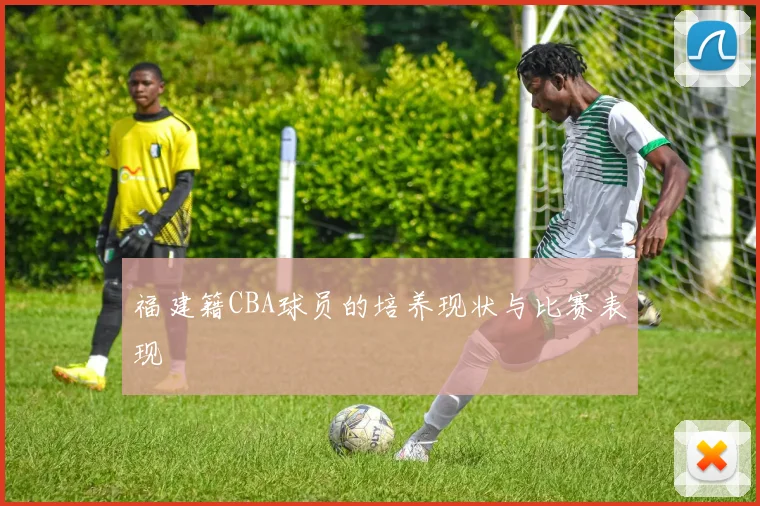 福建籍CBA球员的培养现状与比赛表现